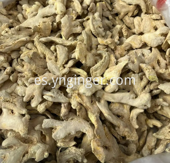 Dried Ginger Chunks 6
